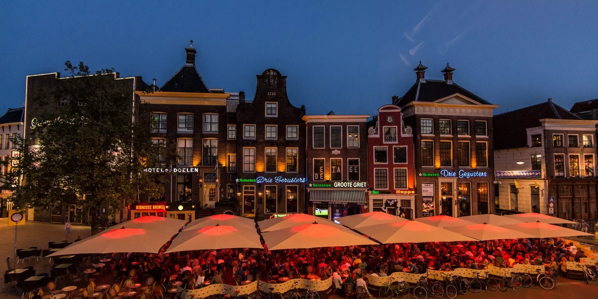 Terras